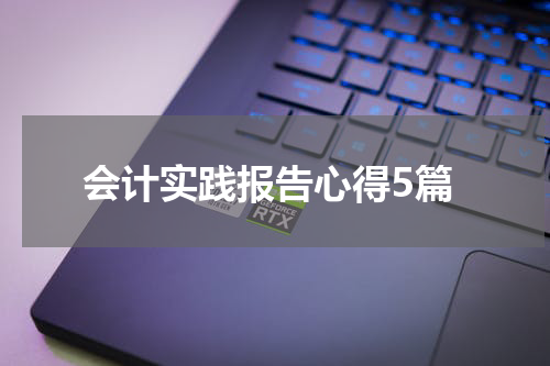 会计实践报告心得5篇