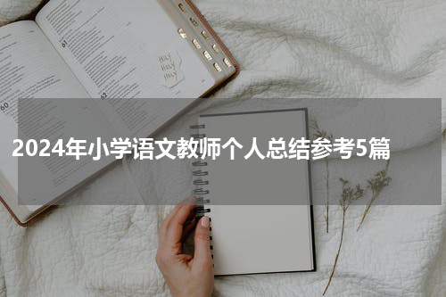 2024年小学语文教师个人总结参考5篇