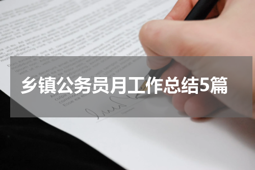 乡镇公务员月工作总结5篇
