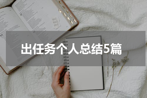 出任务个人总结5篇