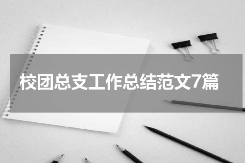 校团总支工作总结范文7篇
