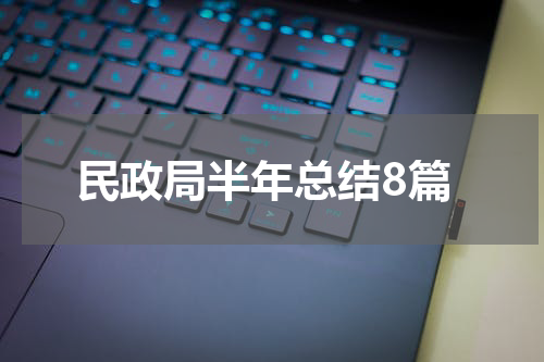 民政局半年总结8篇