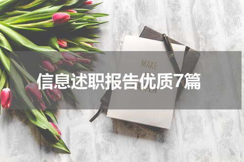 信息述职报告优质7篇