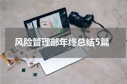 风险管理部年终总结5篇