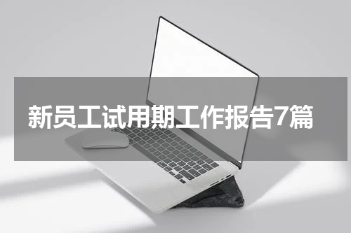 新员工试用期工作报告7篇