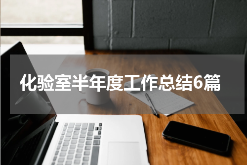 化验室半年度工作总结6篇