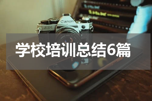 学校培训总结6篇