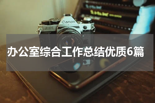 办公室综合工作总结优质6篇