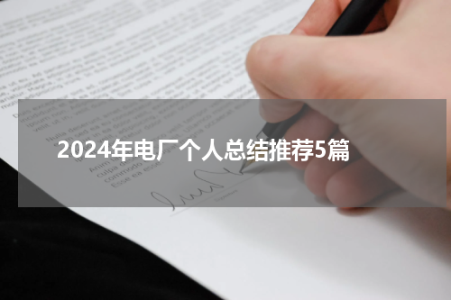 2024年电厂个人总结推荐5篇