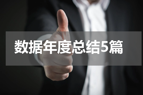 数据年度总结5篇