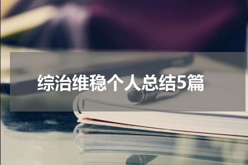 综治维稳个人总结5篇