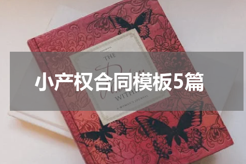 小产权合同模板5篇
