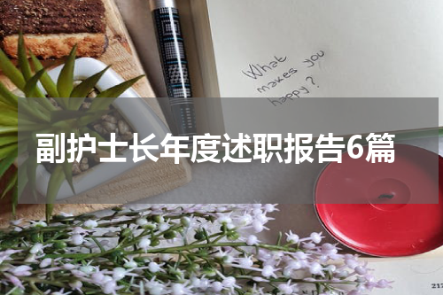 副护士长年度述职报告6篇