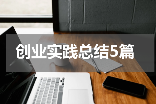 创业实践总结5篇