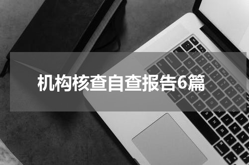 机构核查自查报告6篇