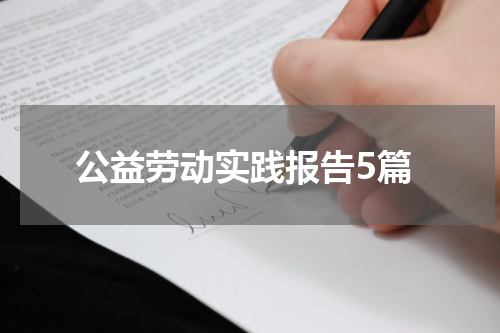 公益劳动实践报告5篇