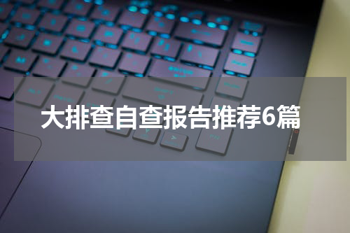 大排查自查报告推荐6篇