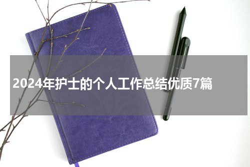 2024年护士的个人工作总结优质7篇
