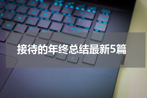 接待的年终总结最新5篇