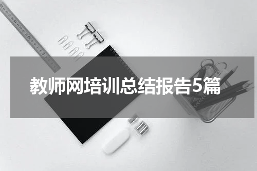 教师网培训总结报告5篇