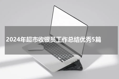 2024年超市收银员工作总结优秀5篇
