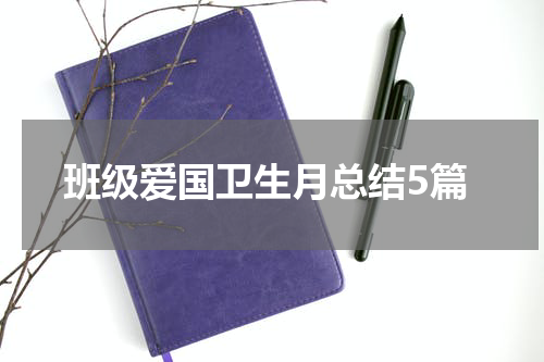 班级爱国卫生月总结5篇