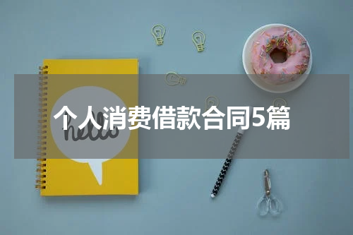 个人消费借款合同5篇