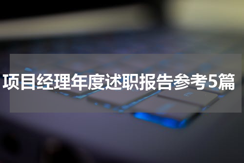 项目经理年度述职报告参考5篇