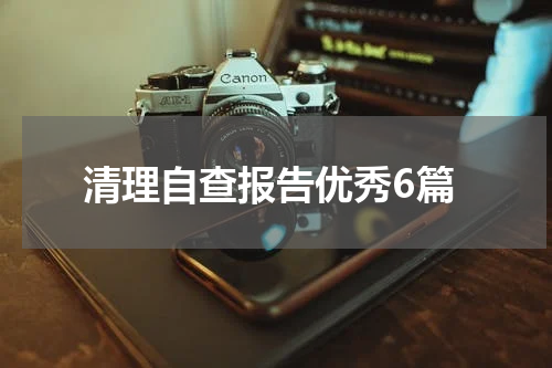 清理自查报告优秀6篇