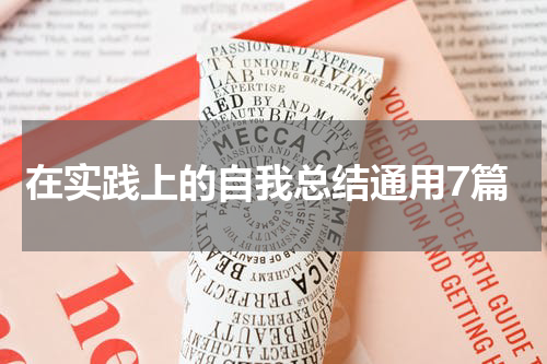在实践上的自我总结通用7篇