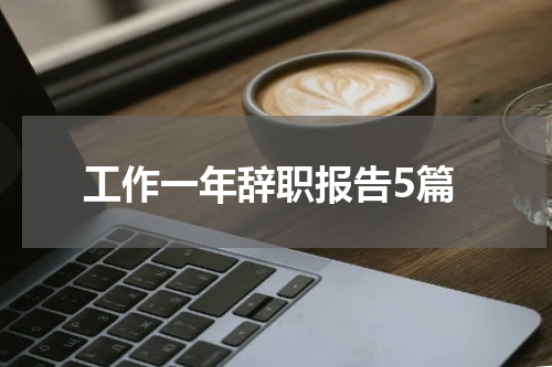 工作一年辞职报告5篇