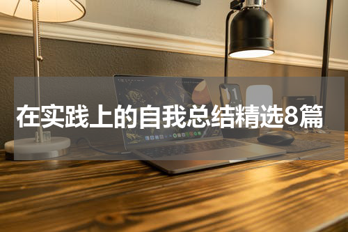在实践上的自我总结精选8篇